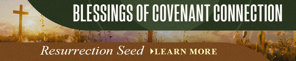 rodparsley.tv | Res Seed 2026